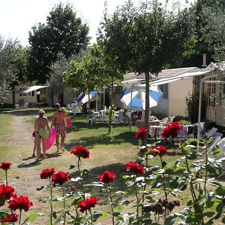 Blu International Camping 博尔塞纳 外观 照片